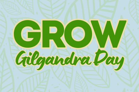 Youth Week Brekkie Catch Up