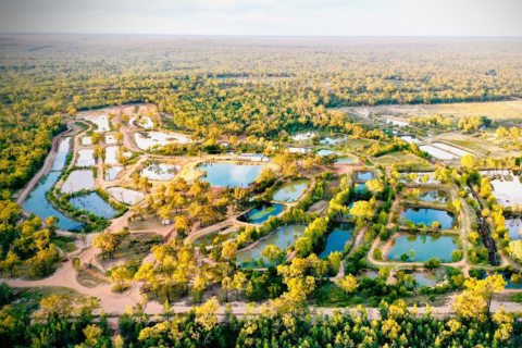 GYS visit to Narrabri Fish Farm