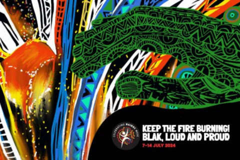 LaserTag in the Park