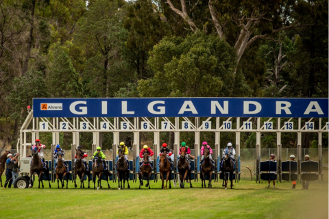 Collie Cup 2024 @ Gilgandra Jockey Club