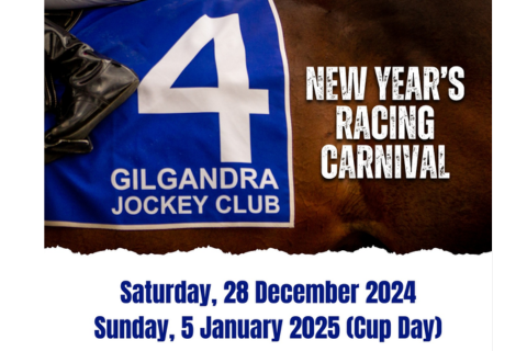 New Years Racing Carnival January