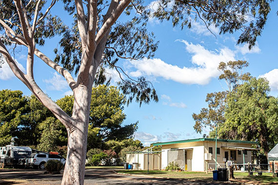 Tooraweenah Caravan Park