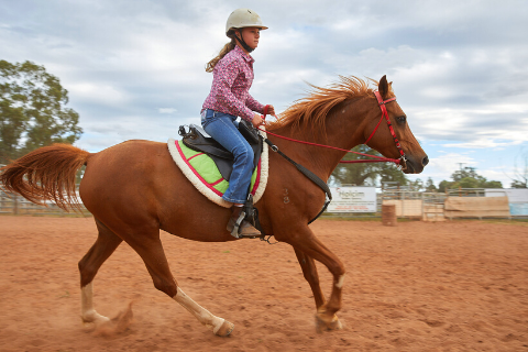 Tom Quilty Gold Cup - National Endurance Ride Championships